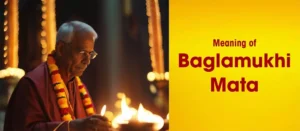 Meaning of Baglamukhi Mata, Baglamukhi Mata Meaning. Meaning of Word Baglamukhi, Baglamukhi Meaning, What is the Meaning of Baglamukhi Mata