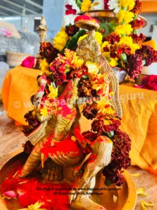 baglamukhi photo, baglamukhi image, baglamukhi