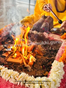 Baglamukhi Puja Photos, Maa Baglamukhi HD Images, Baglamukhi Havan Images, Baglamukhi High Res Images, Baglamukhi HD Images, Maa Baglamukhi Photo, Bagalamukhi Devi Photo, Mata Baglamukhi Photos, Baglamukhi Photos