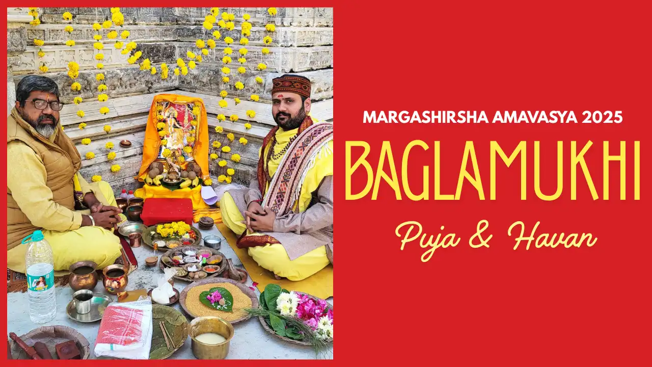 Margashirsha Amavasya 2025 Baglamukhi Puja and Havan video featuring Hindu priests and a decorated Goddess Baglamukhi shrine.