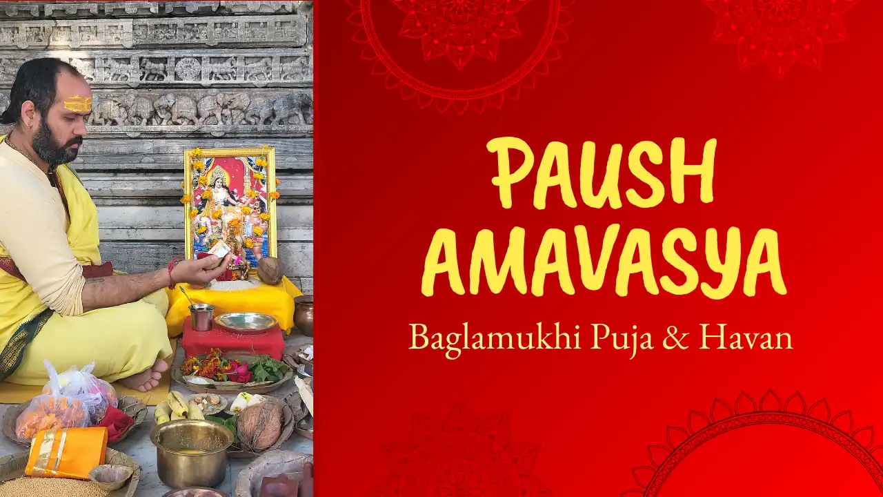Paush Amavasya Baglamukhi Puja and Havan video featuring a Hindu priest performing the sacred ritual before a decorated Goddess Baglamukhi shrine.